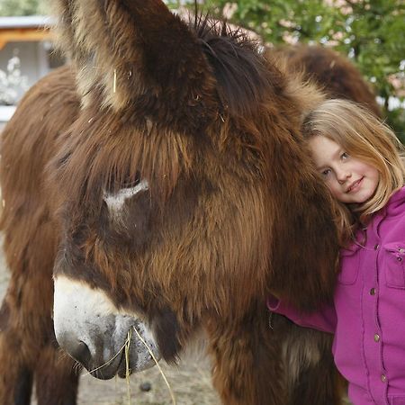 Garni Hotel Lavendelhof Nauen Bagian luar foto