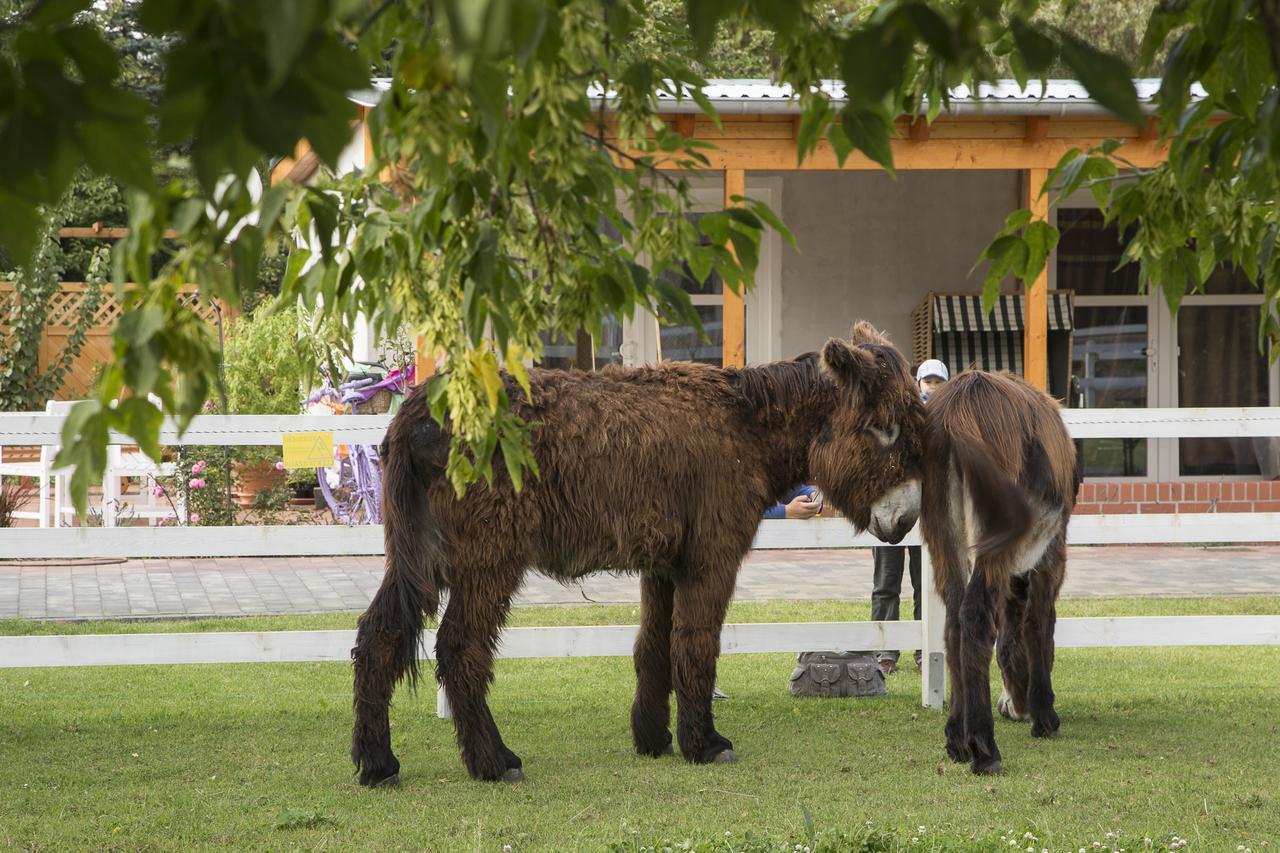 Garni Hotel Lavendelhof Nauen Bagian luar foto